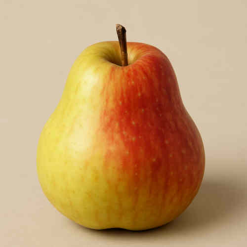 Ein Glockenapfel, Beispielfoto